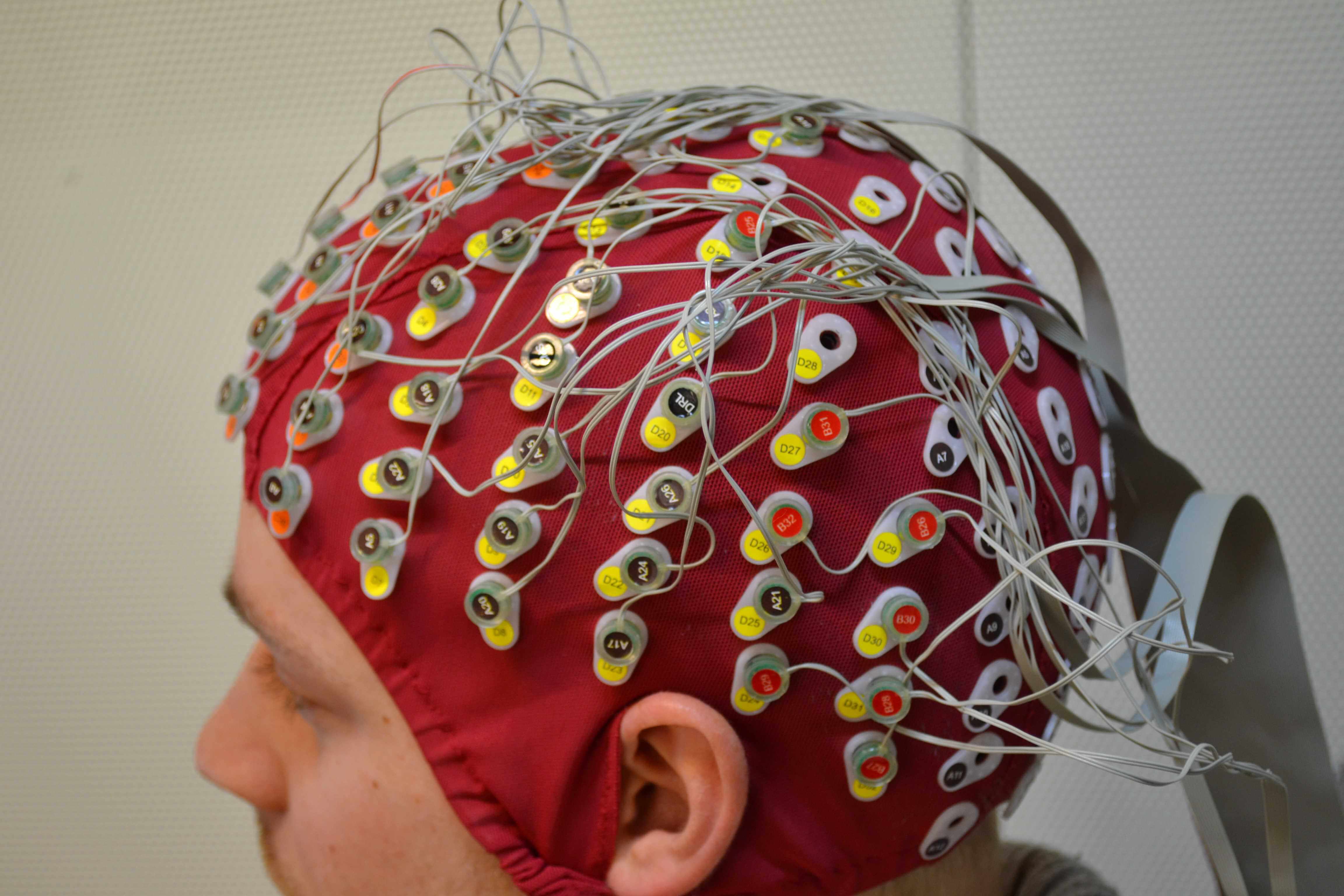 An EEG device on a participant's head.